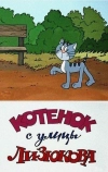 Котенок с улицы Лизюкова