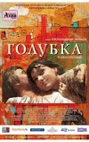 Голубка