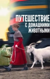 Путешествие с домашними животными