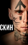 Скин