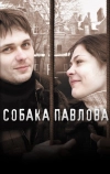 Собака Павлова