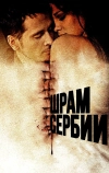 Шрам Сербии (2009)