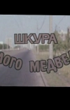 Шкура белого медведя