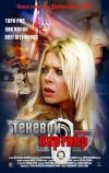 Теневой партнер