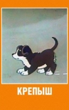 Крепыш