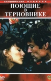 Поющие в терновнике