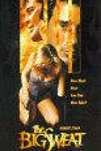 Большая заваруха (1991)
