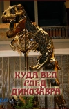 Куда вел след динозавра
