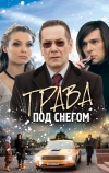 Трава под снегом