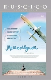 Метеоидиот