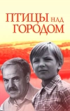 Птицы над городом