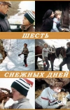 Шесть снежных дней